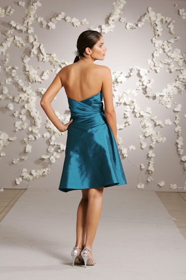 Back View Back View