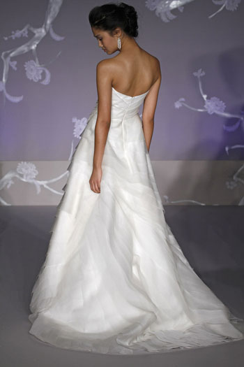 Back View Back View