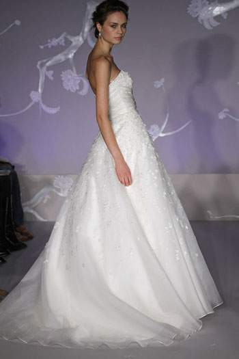 Back View Back View