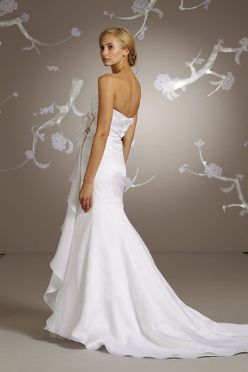 Back View Back View