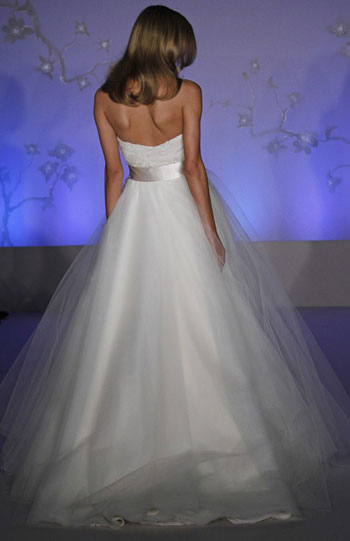 Back View Back View