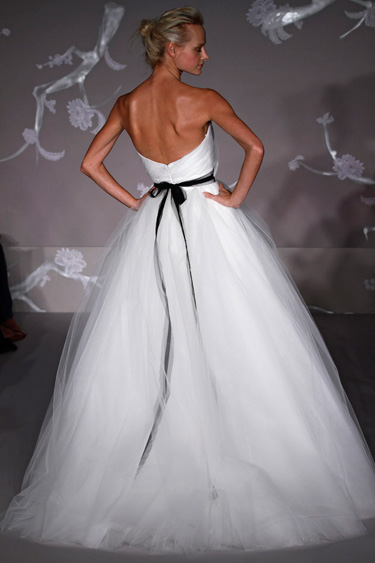 Back View Back View