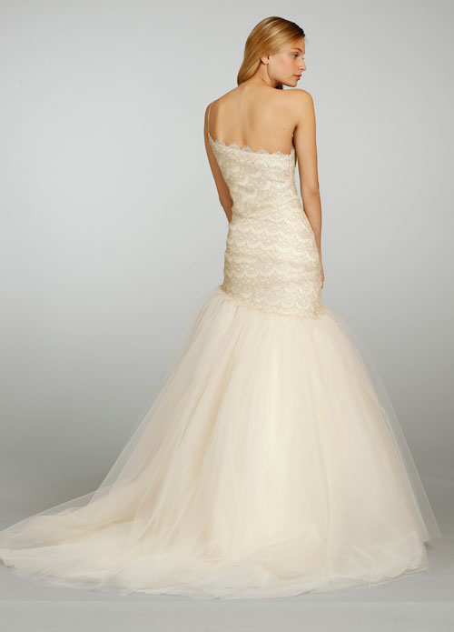 Back View Back View