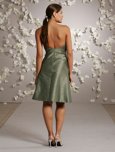 Back View Back View