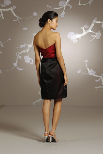 Back VIew Back VIew