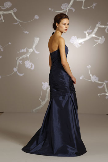 Back VIew Back VIew
