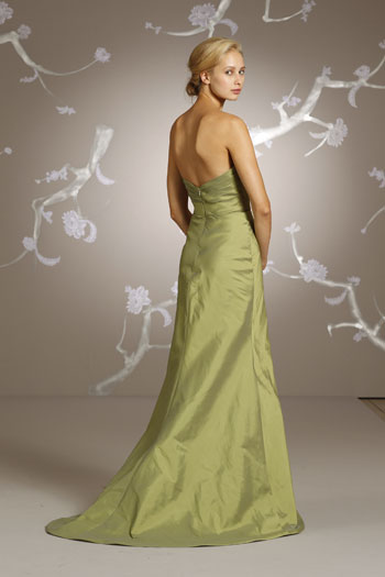 Back View Back View