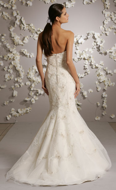 Back View Back View