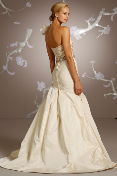 Back View Back View