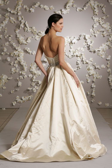 Back View Back View
