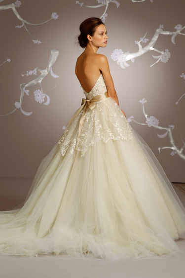 Back View Back View