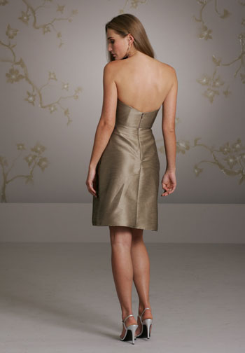 Back View Back View