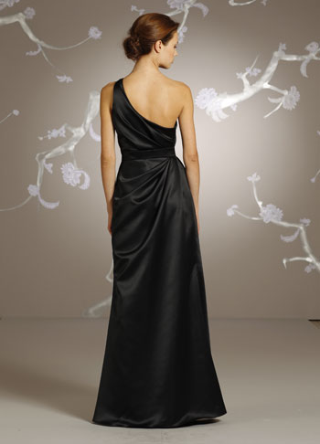 Back VIew Back VIew