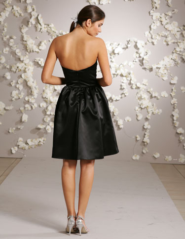Back View Back View