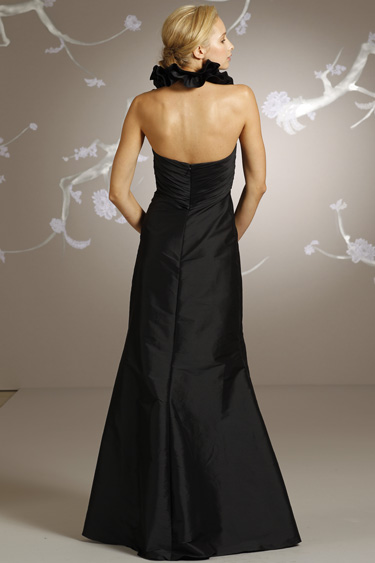 Back View Back View