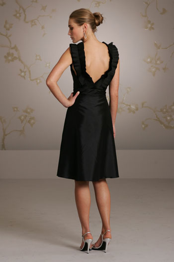 Back View Back View