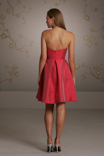 Back View Back View
