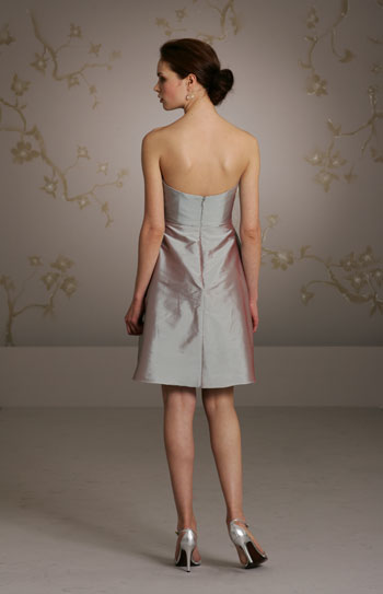 Back View Back View