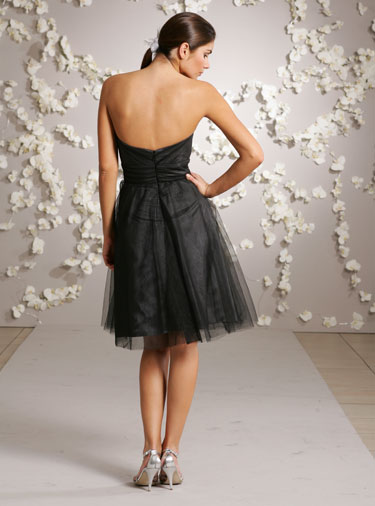 Back View Back View