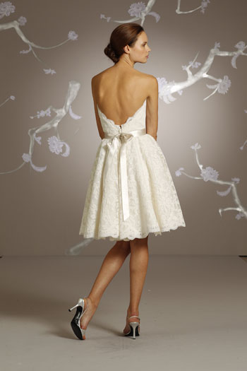 Back View Back View